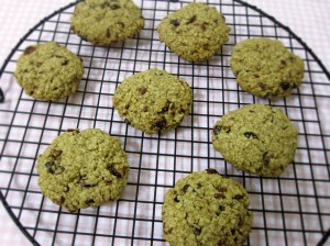 cran-pecan-oat-cookies-1